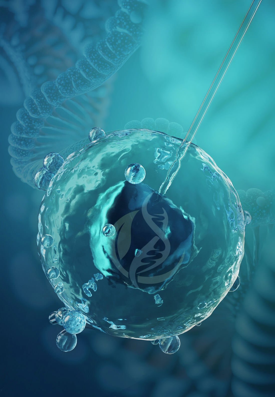 Cell therapy at Florida Regen